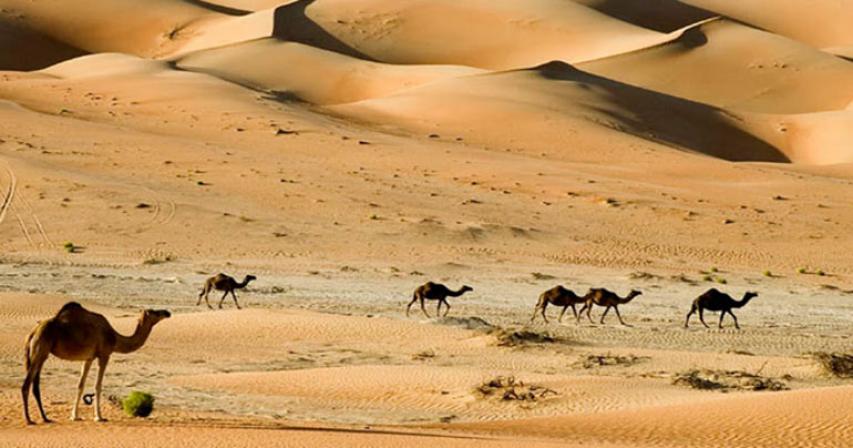 Top 5 Biggest Deserts in the World