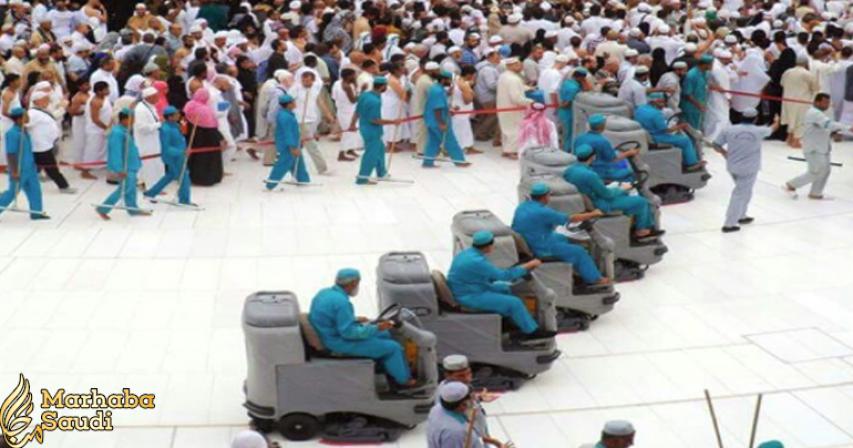 Why cleaning staff at Masjid al-Haram don’t kill insects?