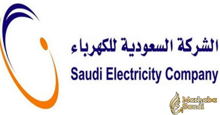 SR400 in unpaid bills to result in power cut: SEC