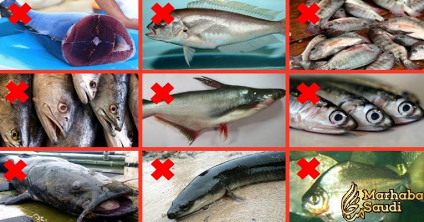 9 Kinds of Fish You Shouldn’t Eat