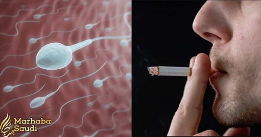 Excess Smoking Reduces Sperm Count And Makes You Sterile