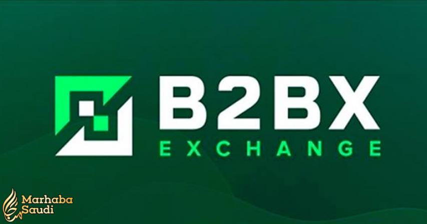 B2BX Cryptocurrency Exchange Secures Full Regulatory Approval in Estonia