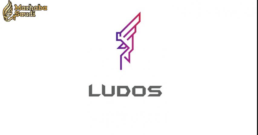 Ludos’ First Meet up in Dubai Ended with Great Success 