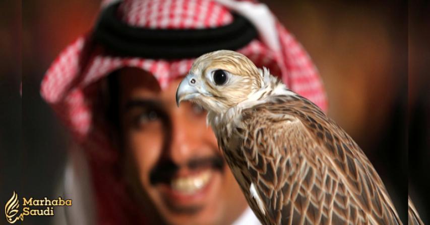 Falconers flock to Riyadh to celebrate ancient sport