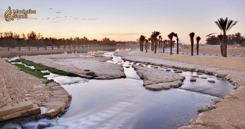 The Beauty we call “Wadi Hanifah” in Riyadh
