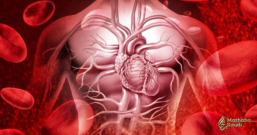 12 possible Heart Symptoms You Should Know