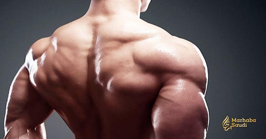 Trouble-Free Exercises for Defining Those Trapezius Muscles
