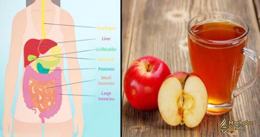 3 Benefits Of Apple Cider Vinegar For Digestion