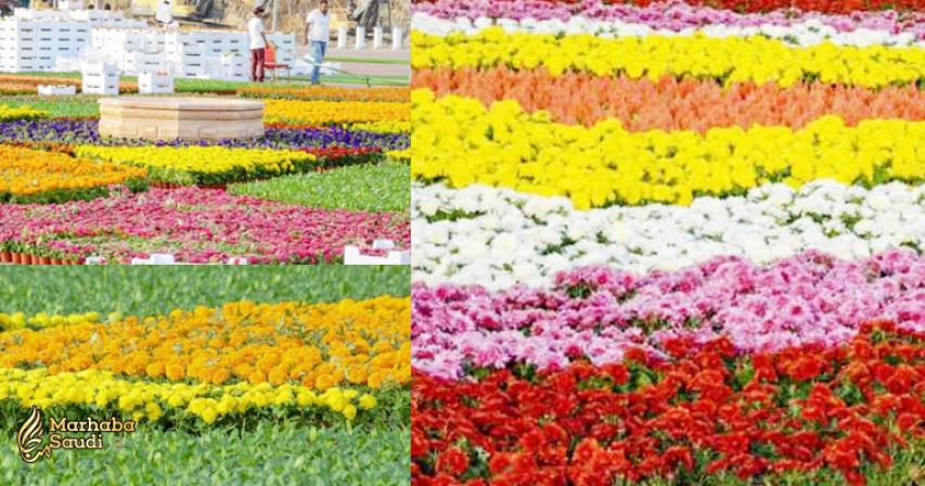 Makkah all set for its first flower festival
