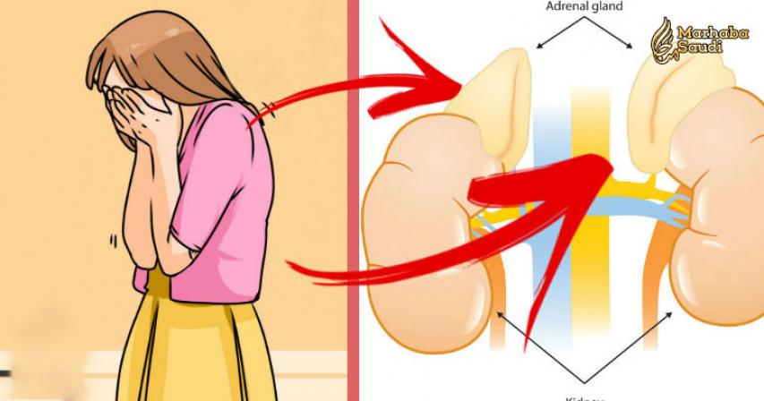 How To Spot and Reverse Weak Adrenal Function To Prevent Cancer, Diabetes, Anxiety and Premature Menopause