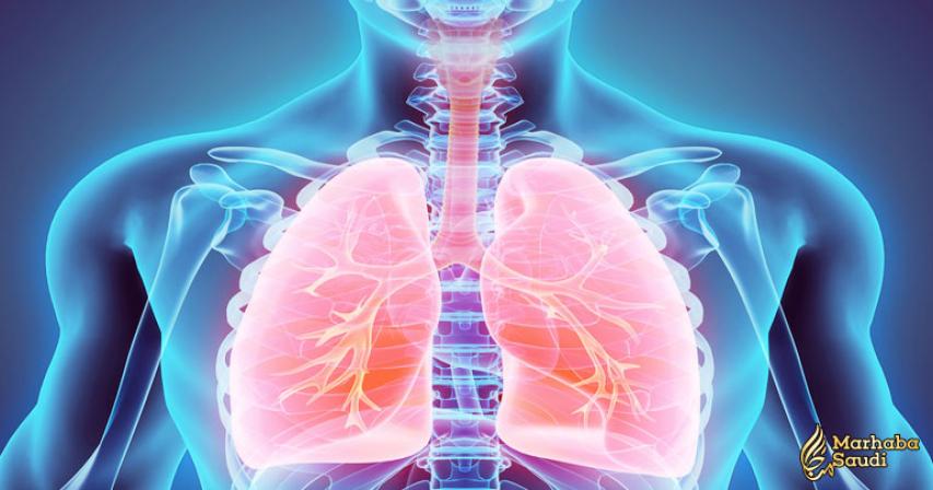 12 Things You Can Do To Improve Your Lung Health Today