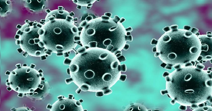 Saudi Arabia discharges 250 movement wrongdoers in the midst of coronavirus flare-up