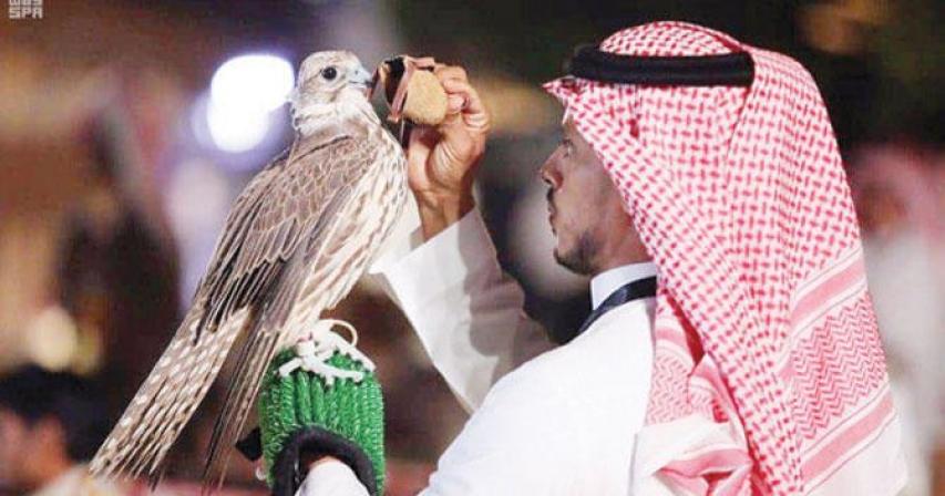 210 falcons compete on 5th day of festival in Saudi Arabia