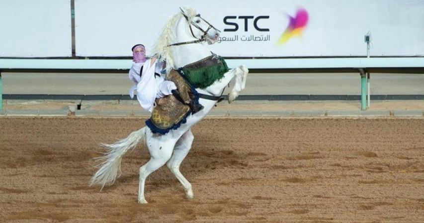 $240,000 prize on offer in Saudi Arabia's Janadriyah horse race