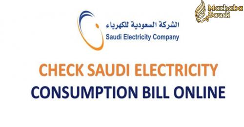 How to check Saudi Arabia Electricity Bill online ?