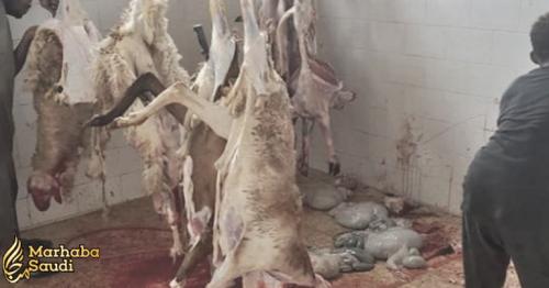 Rotten meat destroyed in Makkah