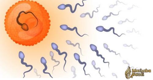 Male Infertility: 10 Things That Can Affect Your Sperm Count!