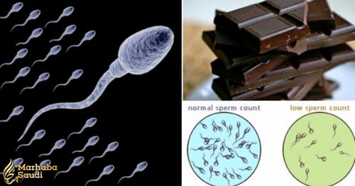 10 Super Foods To Increase Sperm Count, Production, and Motility!