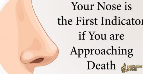 Your Nose is the First Indicator if You are Approaching Death