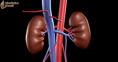 10 Healthy Habits That Will Keep Your Kidneys Happy