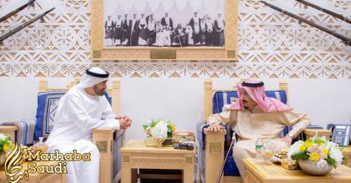 High Royal Highness King Salman and HH Mohamed bin Zayed discuss regional issues