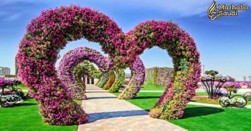 Dubai Miracle Garden Has Over 60 Million Mega Flowers 