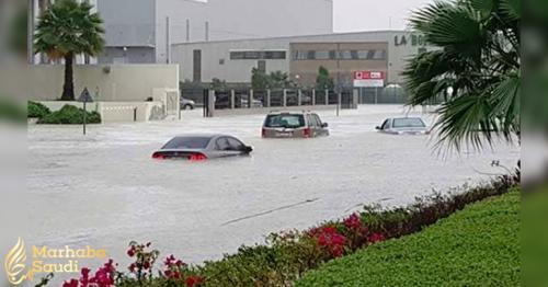 Vehicle insurance to cover natural disaster damages 