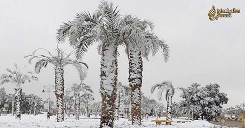 Five Places in Saudi Arabia where it snows in the Winter