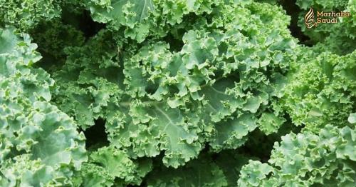 Kale May Not Always Be Good For You - Here's When You Should Be Careful Eating It