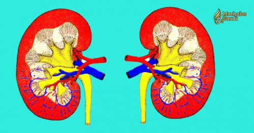 10 Healthy Habits That Will Keep Your Kidneys Happy