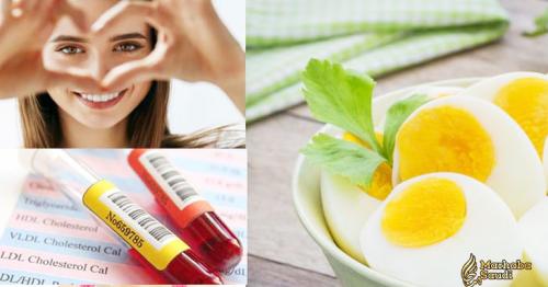 Boiled Egg Benefits | Boiled Egg Calories | Egg White Nutrition