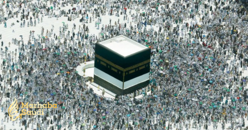 Officials laud Saudi efforts to serve Hajj pilgrims